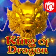 Gà chiến chuẩn bị cho trận đấu tại 555win
